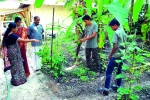 വീടുകള്‍തോറും പച്ചക്കറിക്കൃഷിയുമായി  